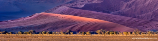 Desert Dunes at Soussesvlei