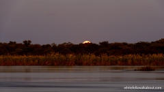 Moonset before Dawn over the Okavango River, Nunda River Lodge, Caprivi Strip, Namibia